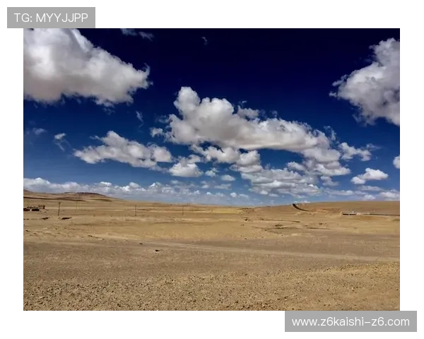 开云集团旗下品牌的产品线丰富性与消费者群体分析