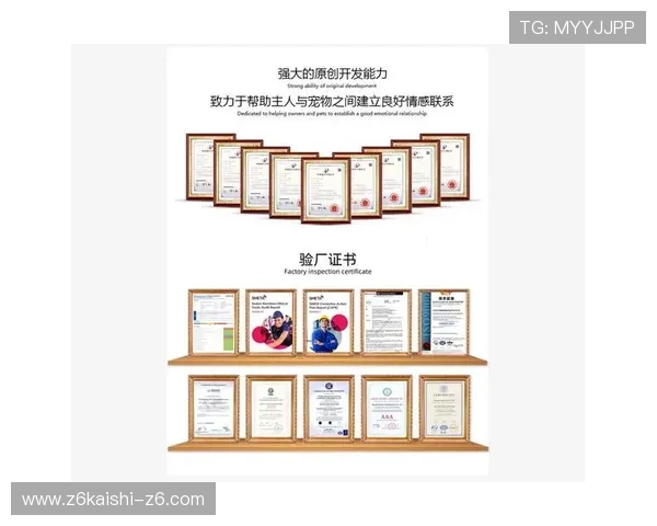 尊龙旗舰网站会员制度介绍享受专属权益与个性化服务体验 尊龙旗舰网站会员制度介绍享受专属权益与个性化服务体验